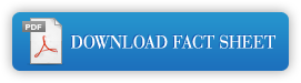 Download PDF